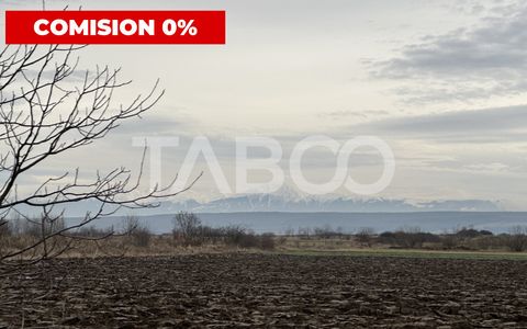 Teren 3750 mp deschidere 54 m de vanzare in Paltinis Sibiu