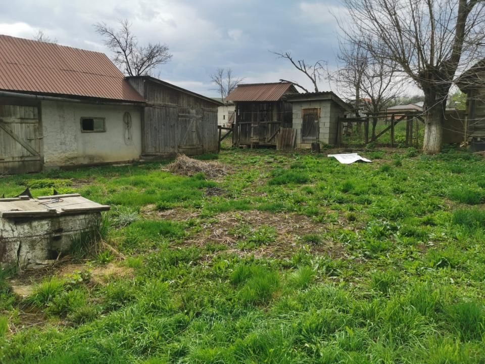 Casa individuala 100mp cu teren 8000mp – fotografia 13 din 21