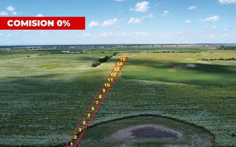 Teren Intravilan 9.918 mp Creața Dascălu, T66– Parcelabil