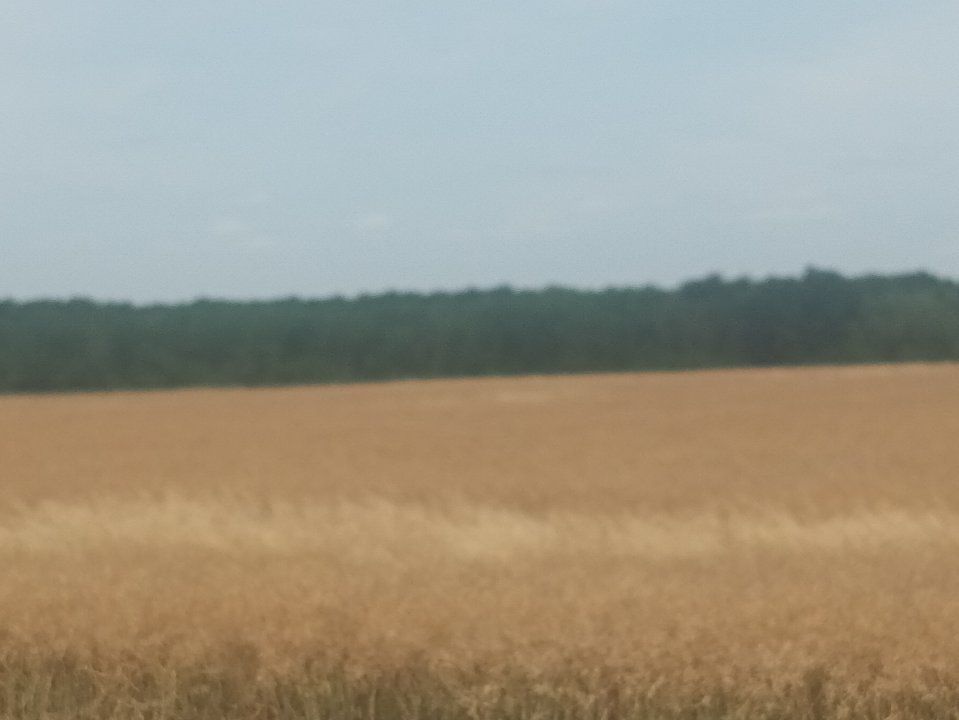 Teren Vanzare Intravilan Branesti investitie Zona Industriala Makita – fotografia 29 din 35