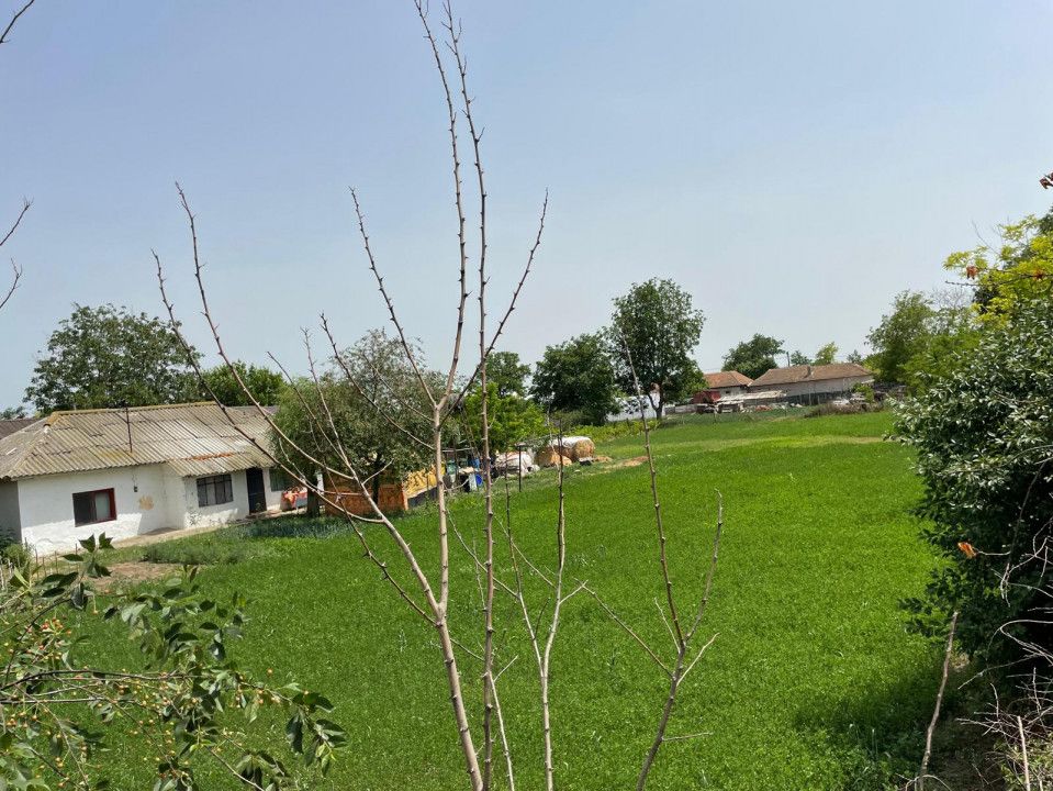 Teren intravilan 2.581 mp de vânzare în Mihail Kogălniceanu – deschidere 36,84ml – fotografia 14 din 14