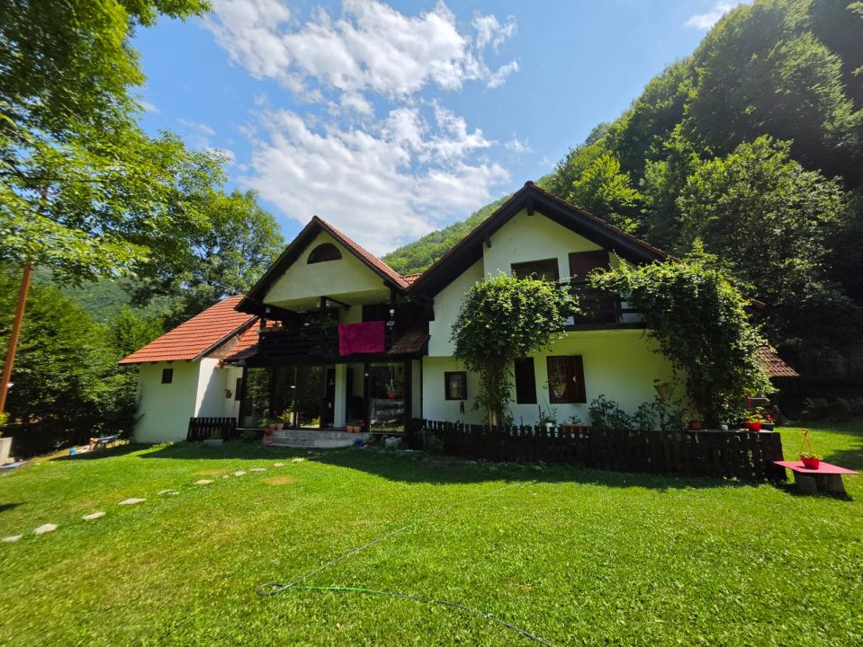 🏡 PROPRIETATE EXTRAORDINARĂ– LOTRIOARA, JUDEȚUL SIBIU! 🌲 – fotografia 3 din 72