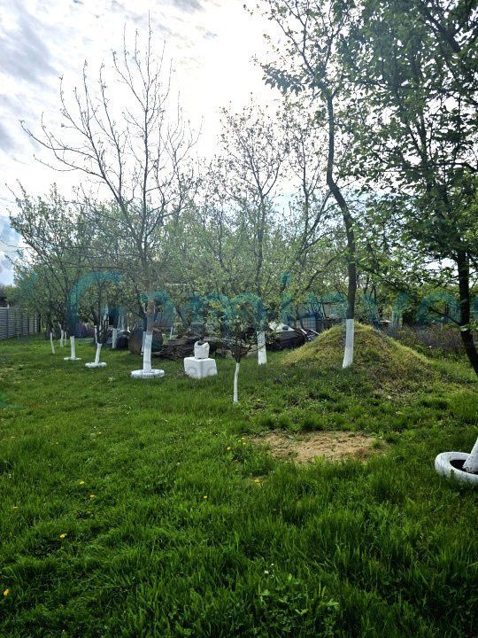 Proprietate cu teren, 5300 mp, Alparea, Bihor – fotografia 7 din 7