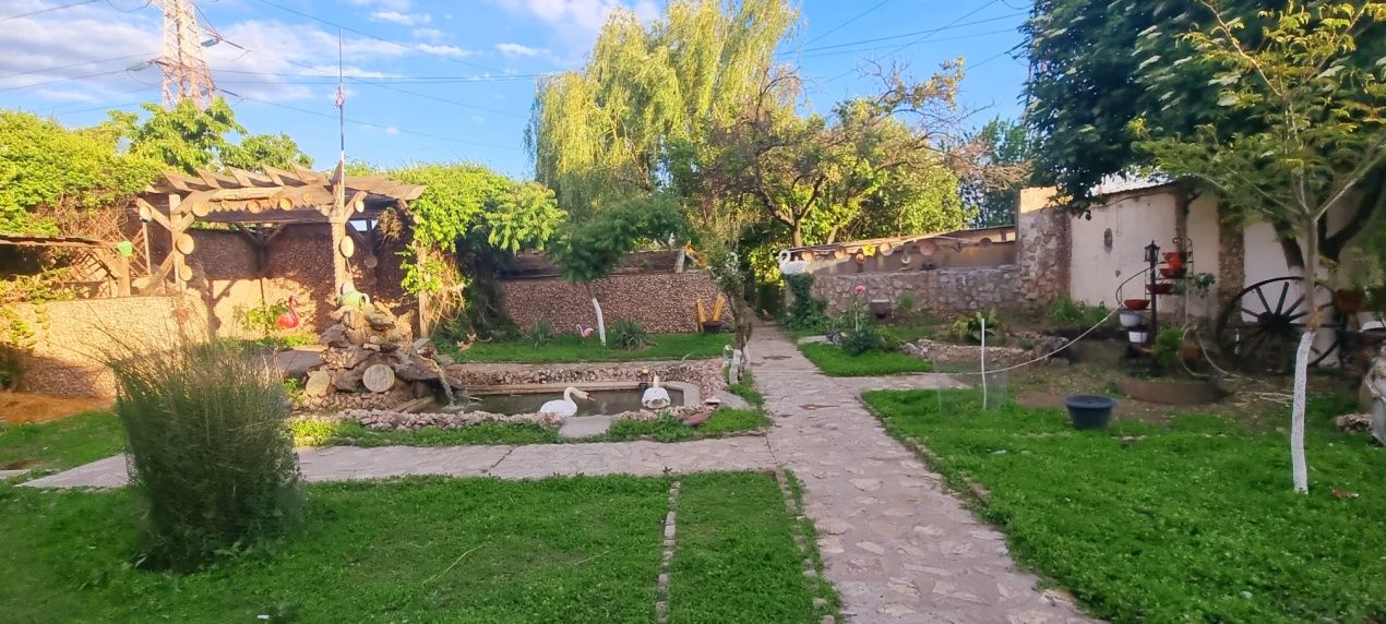 Casă parter cu teren de 1400 mp în Bariera Vâlcii aproape de drumul expres – fotografia 7 din 24
