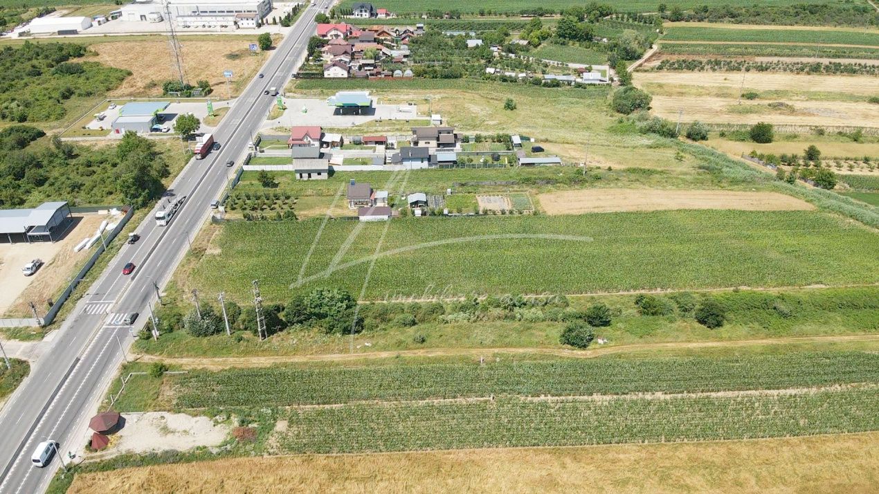 Teren cu potențial de dezvoltare –7427 mp în Argeșelu, Mărăcineni, județul Arges – fotografia 7 din 11