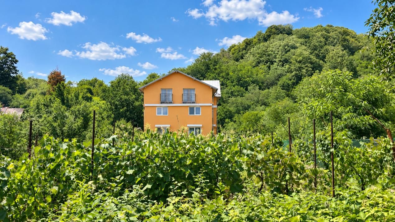 VAND O VILA IN PADUREA DIN FILIPESTI – fotografia 19 din 28