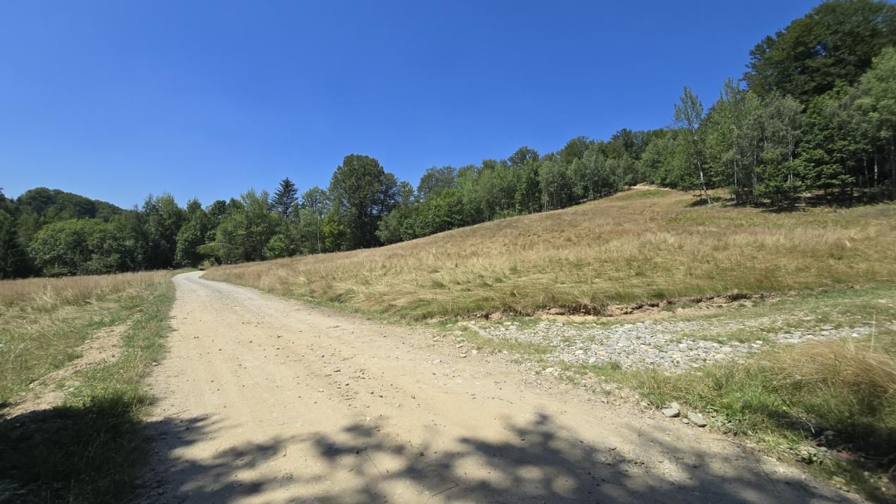 De vânzare teren de 36.200 mp teren în Poiana Mărului – fotografia 1 din 9