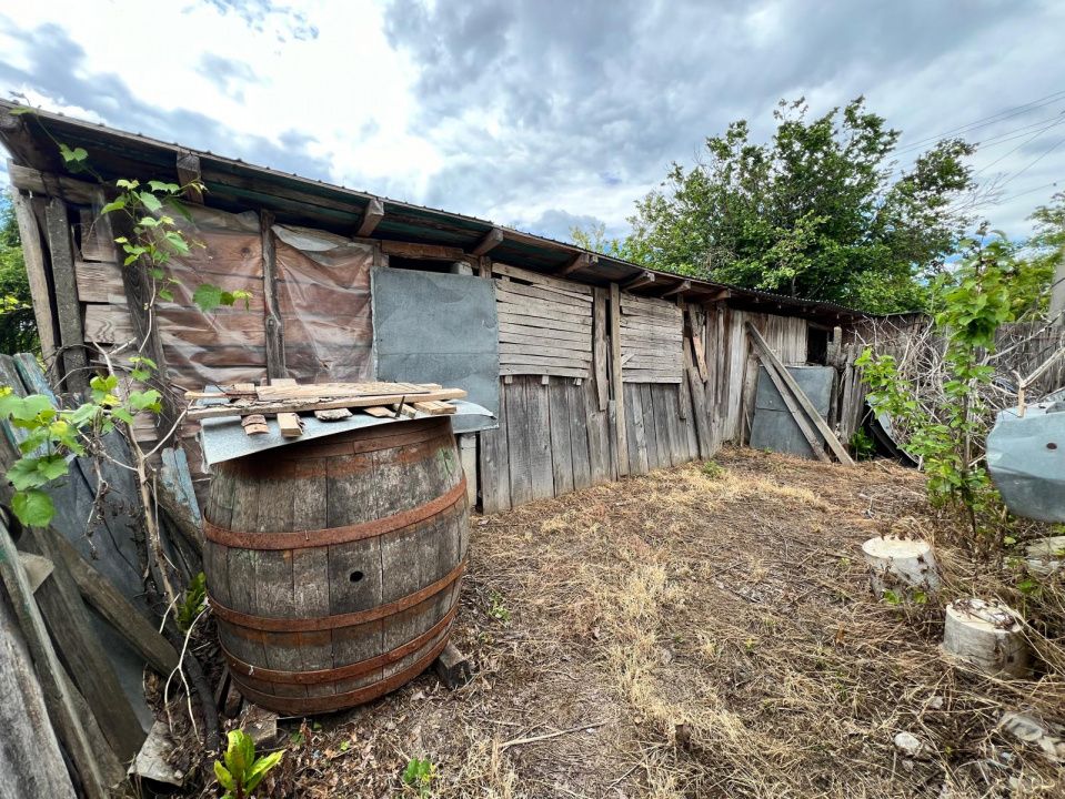 Casă + teren 4430 mp, vie și pomi fructiferi, 22 km de Tecuci – fotografia 34 din 36