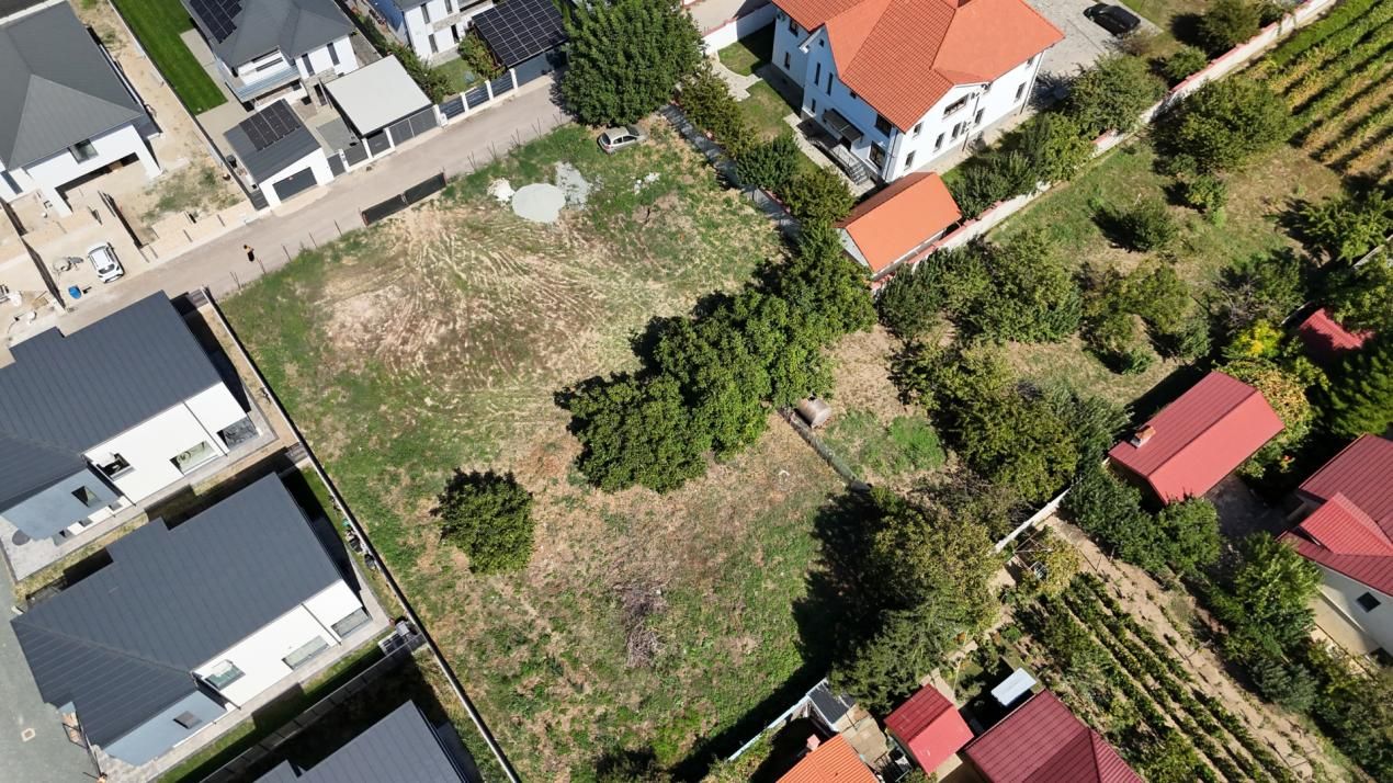 TEREN 2211 MP ÎN ARCAȘILOR – fotografia 5 din 12