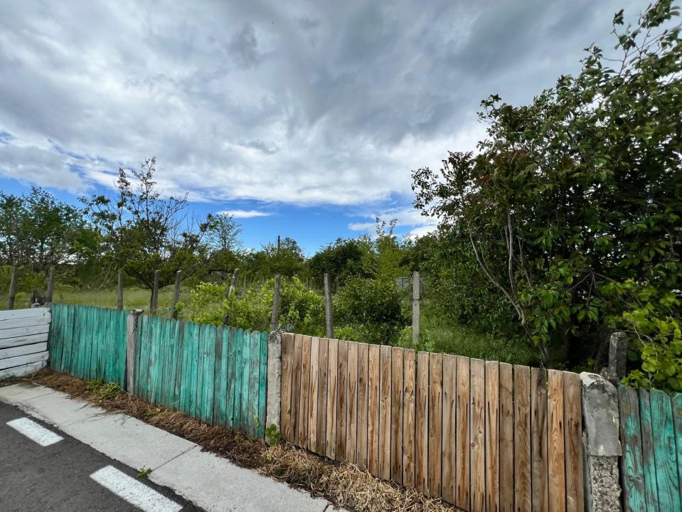 Casă + teren 4430 mp, vie și pomi fructiferi, 22 km de Tecuci – fotografia 27 din 36