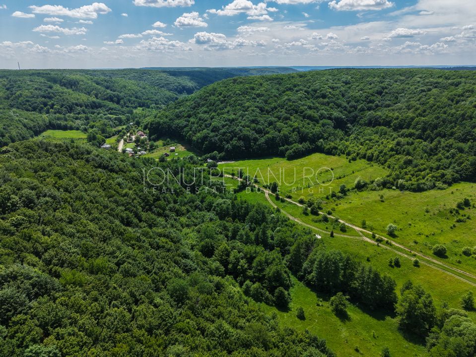 Teren Pasune + Arabil - Valea Mare Podgoria Arges – fotografia 16 din 29