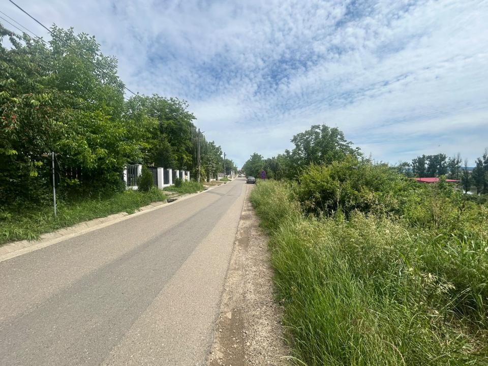 Teren 2000 mp Miroslava - str. Debarcaderului / Lacul Ezareni – fotografia 3 din 4