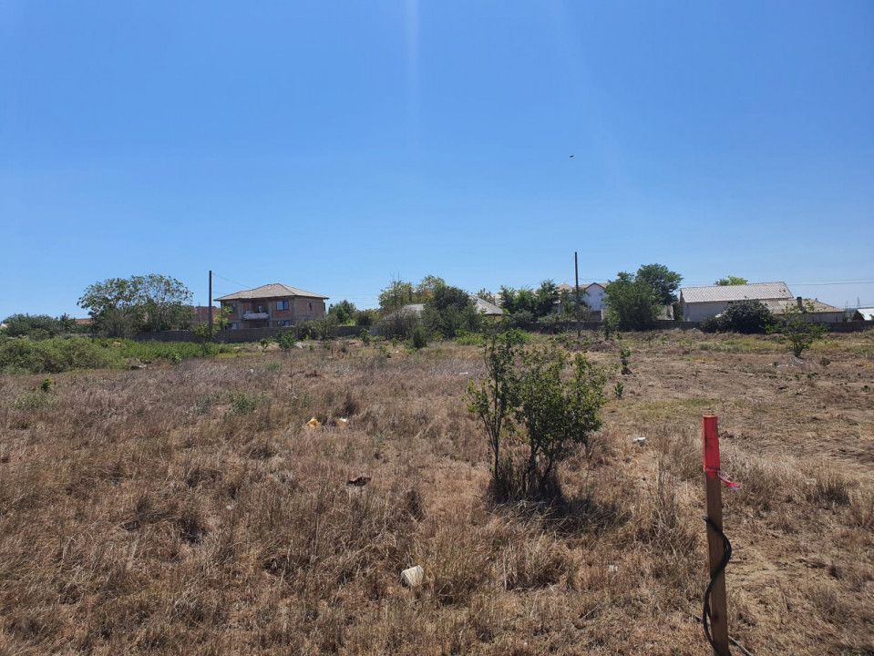 Vand teren in Palazu Mare zona balon – fotografia 5 din 6
