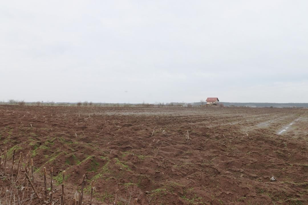 Teren 4000 mp lângă Pădurea Petrești | Investiție dezvoltare | Corbeanca – fotografia 3 din 7