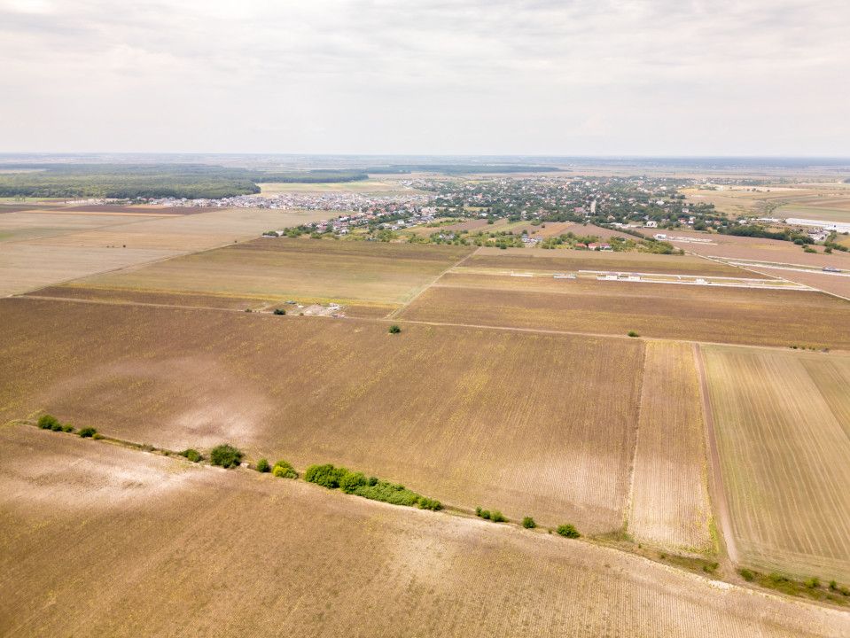 DASCALU – TEREN INTRAVILAN 11300 MP, INVESTITIE! – fotografia 12 din 18