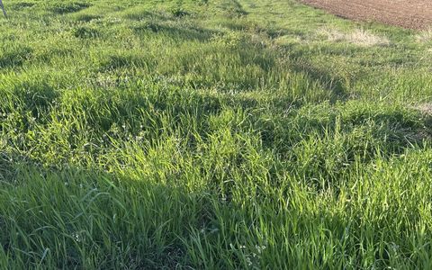 Teren Intravilan de vanzare in Alba Iulia zona Micesti in suprafata de 1077 mp