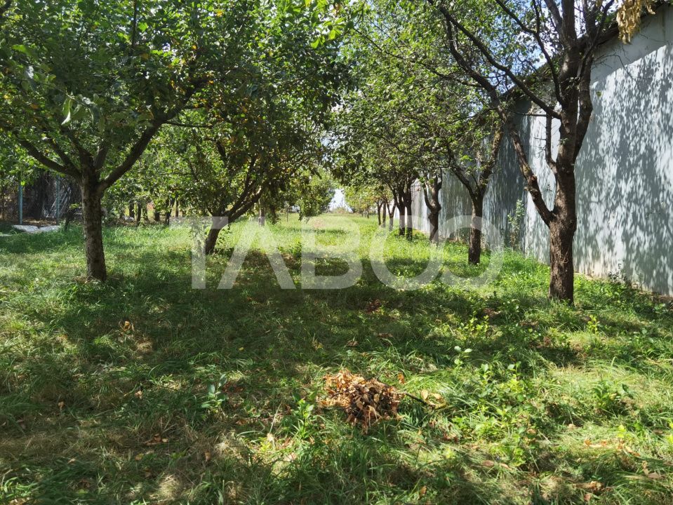 Teren intravilan de vanzare 1100 mp cu deschidere 14 ml Poplaca – fotografia 1 din 1