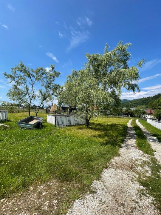 🏡 Oportunitate unică de investiție în inima naturii – VATRA DORNEI – fotografia 6 din 20