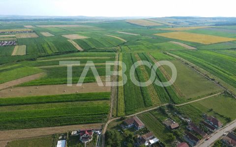 Teren intravilan 10 055mp PUZ aprobat 17 case individuale Sura Mica