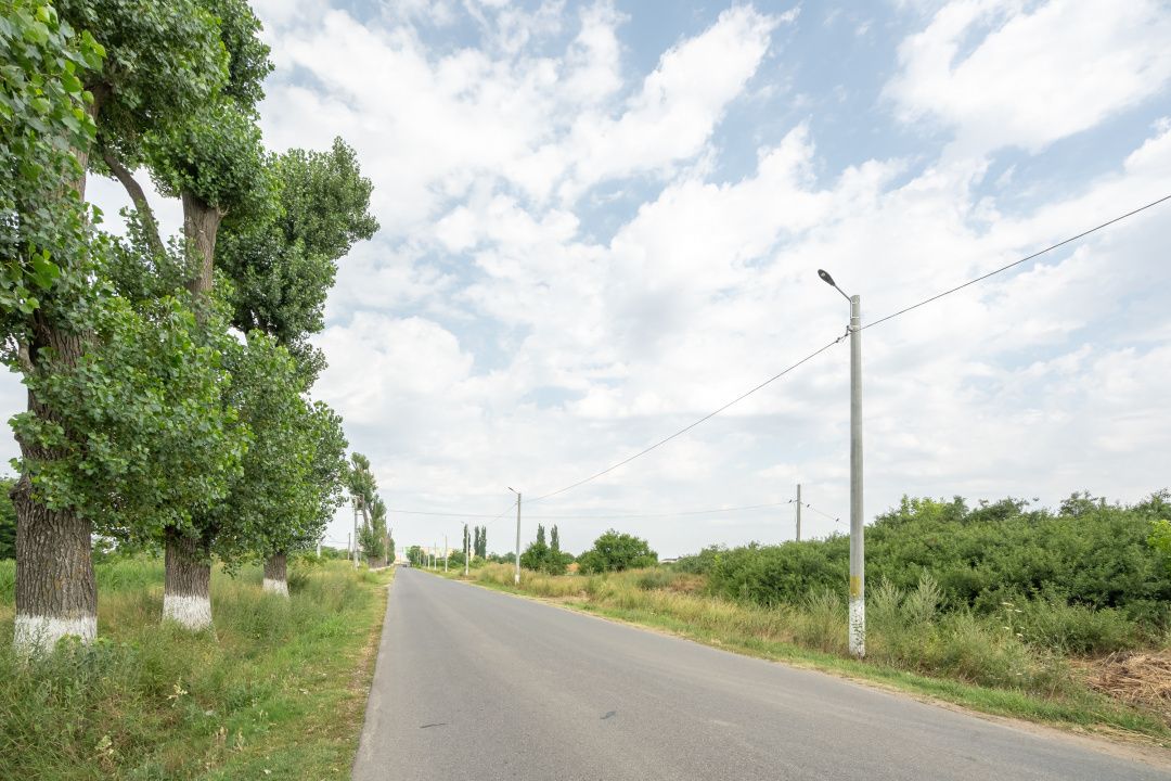 Teren Cernica,pentru Dezvoltare Rezidențială sau Industriala – fotografia 19 din 20