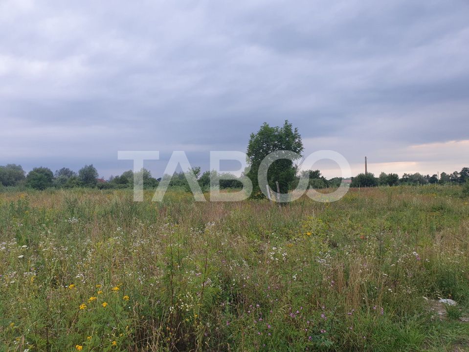 Teren intravilan 5040 mp in Sercaia acces DN1 168 m – fotografia 3 din 4