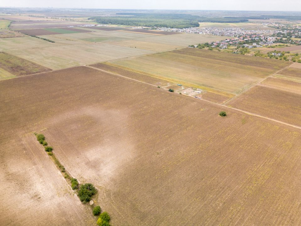 DASCALU – TEREN INTRAVILAN 11300 MP, INVESTITIE! – fotografia 15 din 18