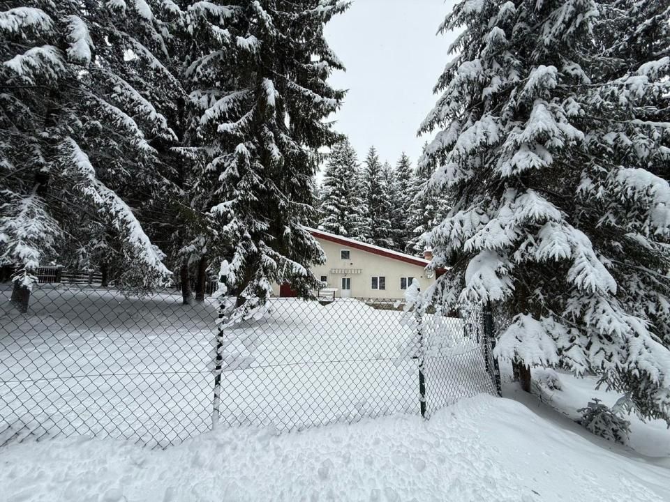 Casă de vacanță spațioasă în Călățele Pădure – Dealul Negru, teren 2000 mp – fotografia 6 din 8