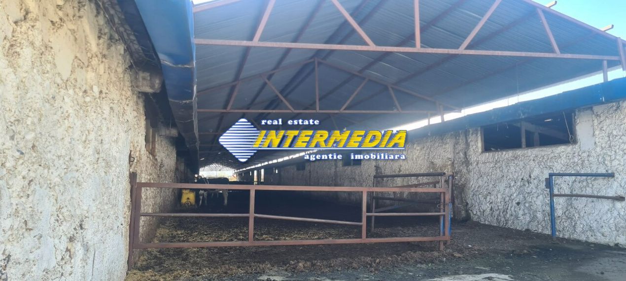 Ferma de vanzare in apropiere de Alba Iulia – fotografia 9 din 12