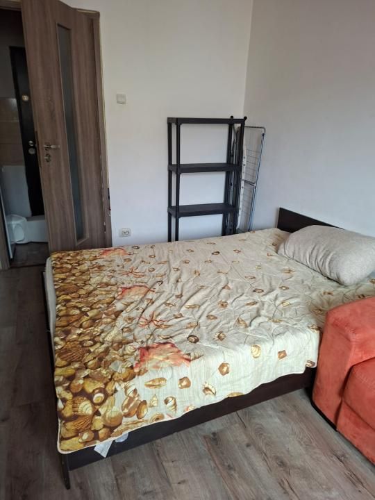 Apartament 1 camera, mobilat 22 mp, etaj 3 - Buziasului – fotografia 2 din 5