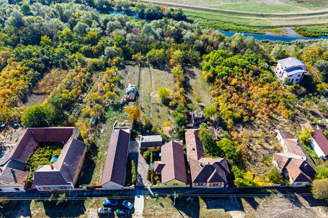 Casă individuală, teren 1.929 mp, acces spre Bega – Remetea Mare – fotografia 43 din 43