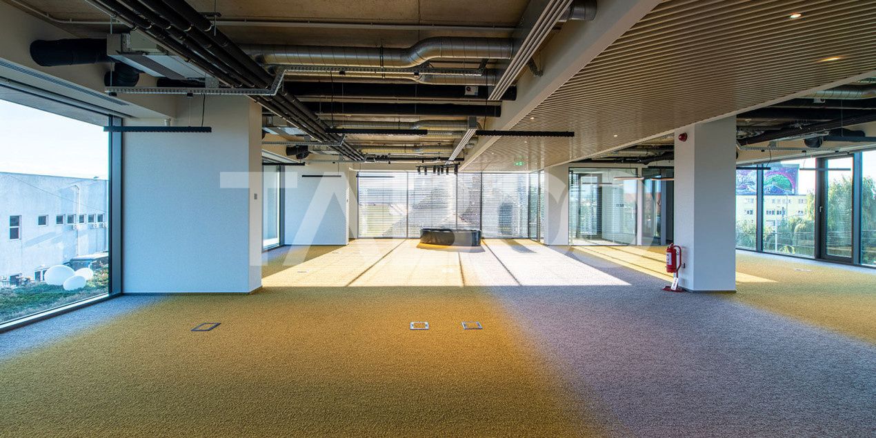 Birouri premium in Sibiu–Spatii flexibile moderne pentru companii – fotografia 13 din 17