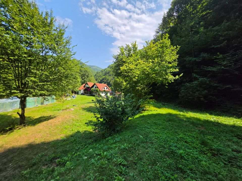 🏡 PROPRIETATE EXTRAORDINARĂ– LOTRIOARA, JUDEȚUL SIBIU! 🌲 – fotografia 62 din 72