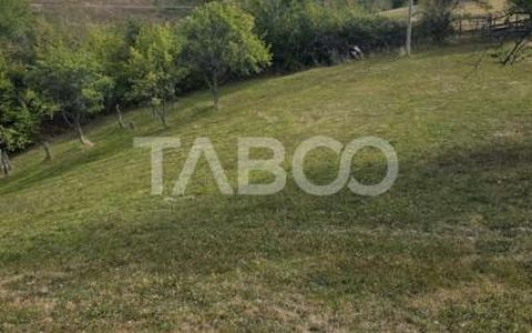 Teren de vanzare 8.300 mp Plesi Loman judetul Alba
