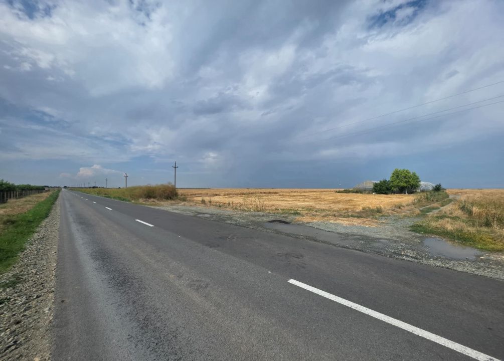 Teren intravilan 7ha, deschidere 234m la drum județean, Mihail Kogălniceanu – fotografia 1 din 4