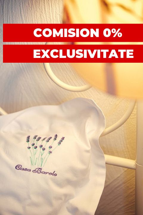 Vanzare Pensiune de Lux in Vlaha, Oportunitate Investitie Turism – fotografia 38 din 40