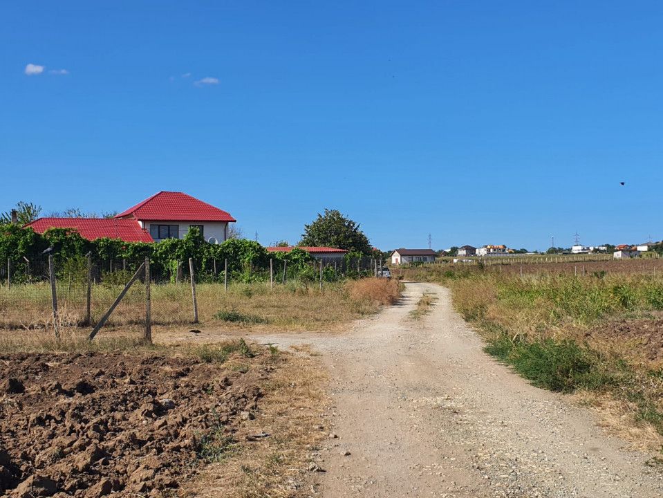 Oferte vanzari terenuri in Lazu – fotografia 3 din 5
