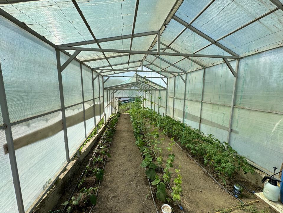 Ofertă de vânzare casă în Bonțida aproape de Castelul Banffy – fotografia 18 din 27
