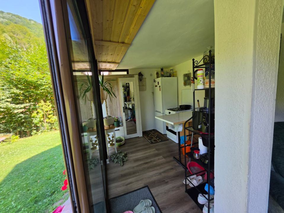 🏡 PROPRIETATE EXTRAORDINARĂ– LOTRIOARA, JUDEȚUL SIBIU! 🌲 – fotografia 5 din 72