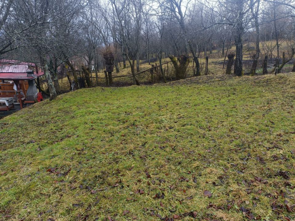 Cabană de vânzare în Bistra-Mureșului, com Deda, sau schimb – fotografia 19 din 21