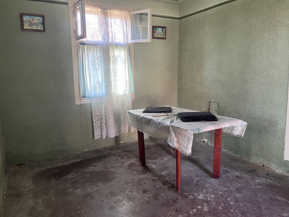 COMISION 0 % Paru - Lugoj, Casa cu 8 camere, teren 1150 mp – fotografia 3 din 11
