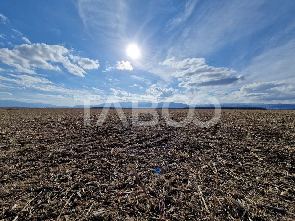 Teren arabil de vanzare   extravilan 5950mp zona Sopa  Selimbar – fotografia 4 din 4