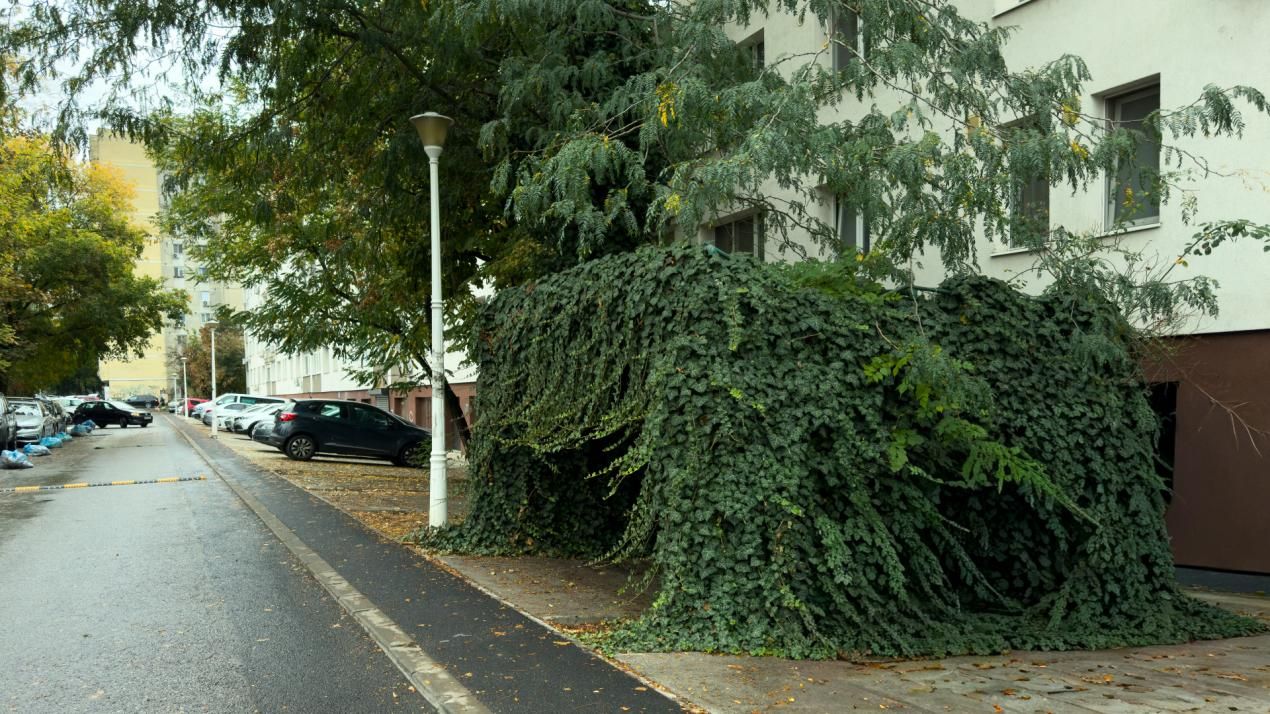 Închiriere apartament 3 camere cu loc de parcare, Dr. Taberei, Str.Valea Oltului – fotografia 14 din 14