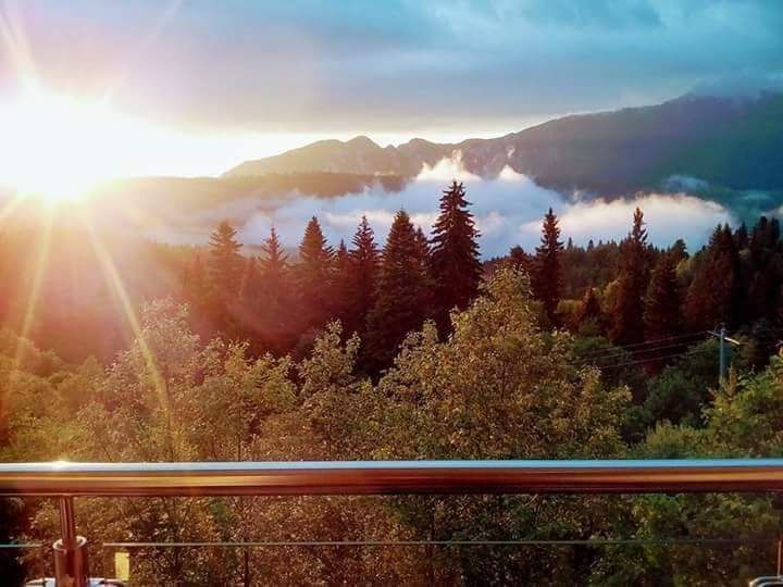 Vilă cu Panoramă 180° asupra Bucegilor | Reședință Exclusivistă Predeal – fotografia 5 din 27