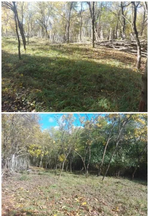 De vânzare 2 terenuri, com. Berevoiești, sat Ungureni, 3500mp, 8eur m2 – fotografia 8 din 8