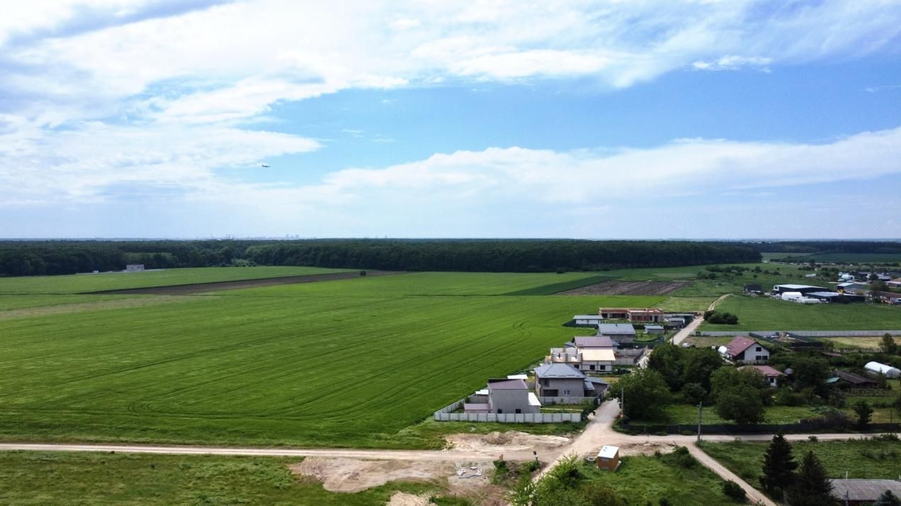 ✨OPORTUNITATE INVESTIȚIE:Teren intravilan 25.000mp Dascălu-Pădure, parcelabil✨ – fotografia 6 din 14