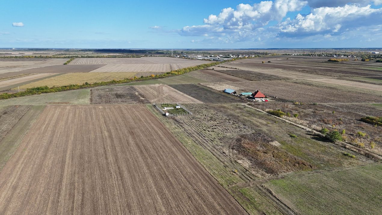 Teren intravilan 2822 mp de liniste in Cocani langa padure – fotografia 9 din 12