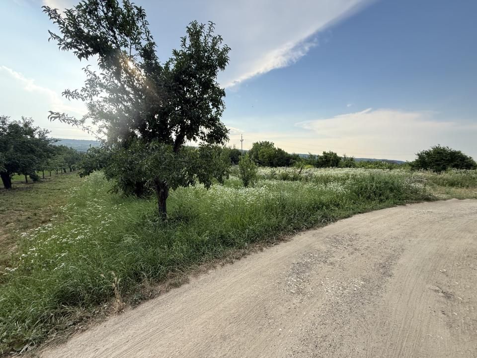 Teren de vânzare în Topoloveni | Zonă liniștită, aproape de oraș – fotografia 1 din 5
