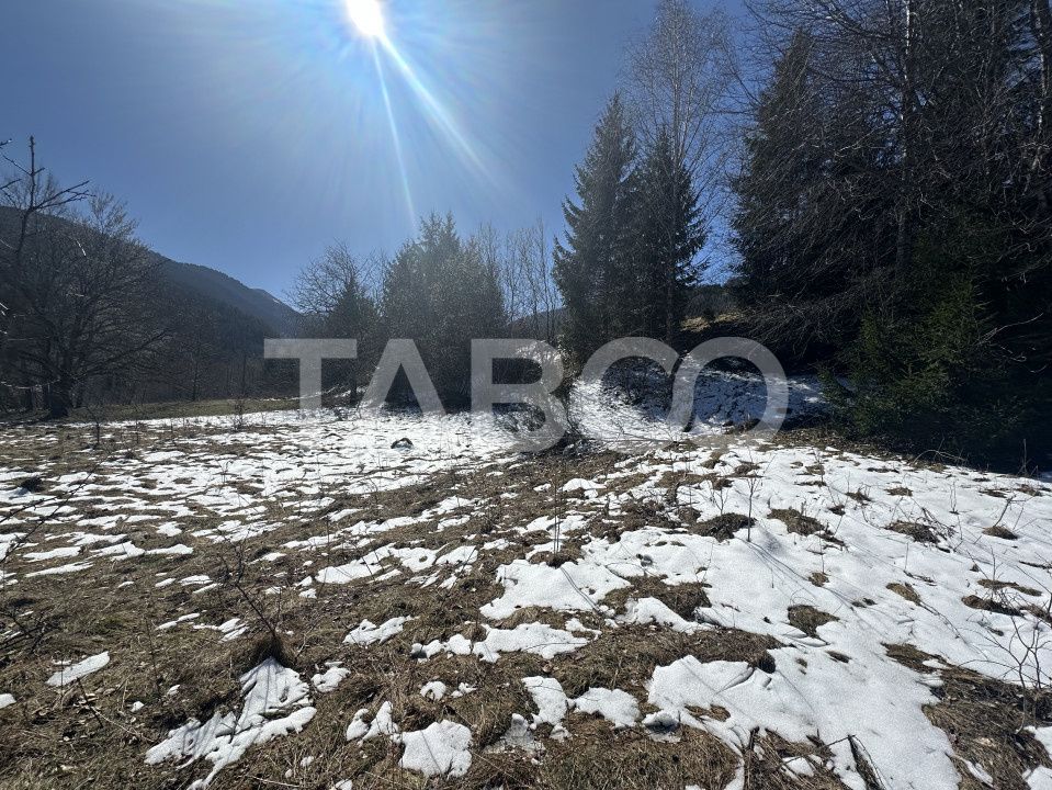 Teren extravilan 4600 mp cu acces la rau Satul de Vacanta Dejani – fotografia 3 din 5