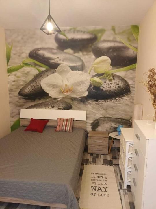 Casă cu 3 unități locative, potențial investițional excelent, zona UMF – fotografia 4 din 6