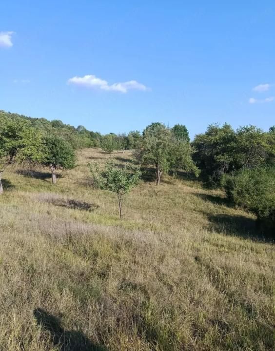 Teren extravilan de vânzare Tigveni | 4.944 mp | Panoramă superbă – fotografia 5 din 6